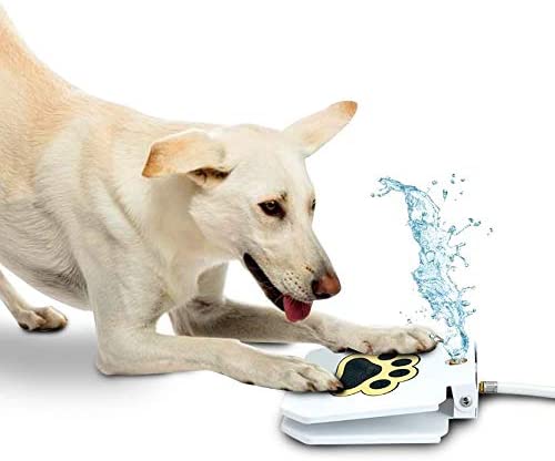 Automatic Outdoor Dog Water Fountain